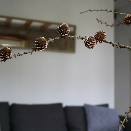 Eguzkilorea * Hondarribia