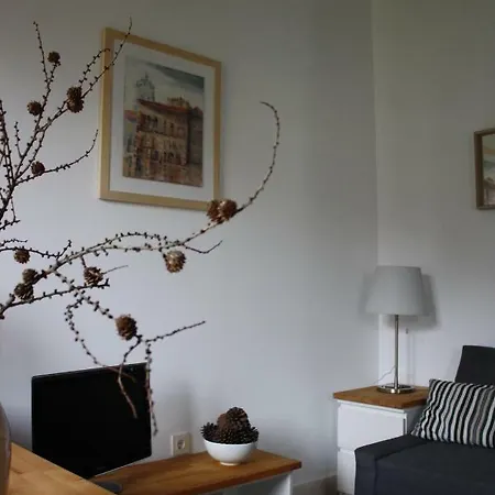 Eguzkilorea *