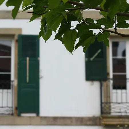 Eguzkilorea