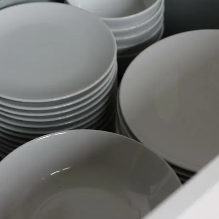 Eguzkilorea Hondarribia